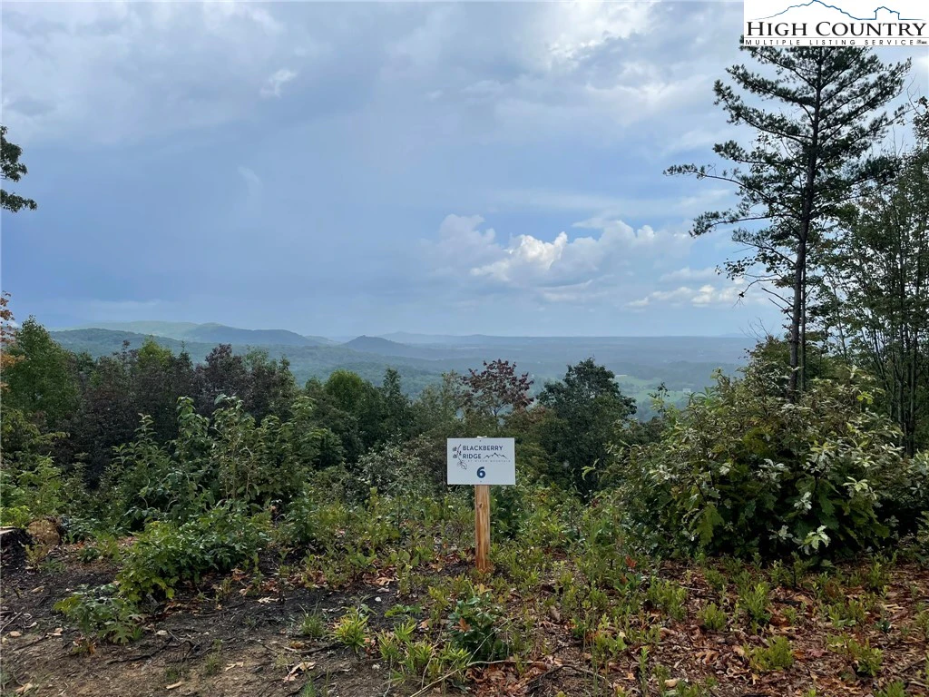 Image number 1 for the current listing