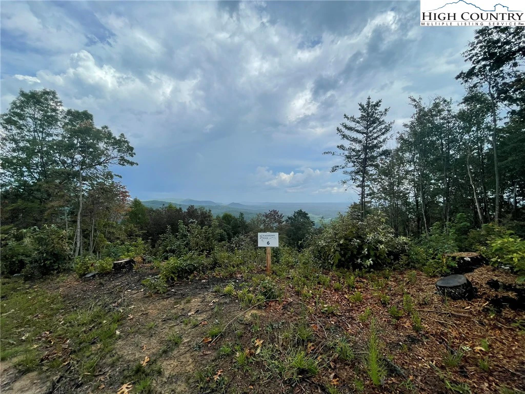 Image number 4 for the current listing