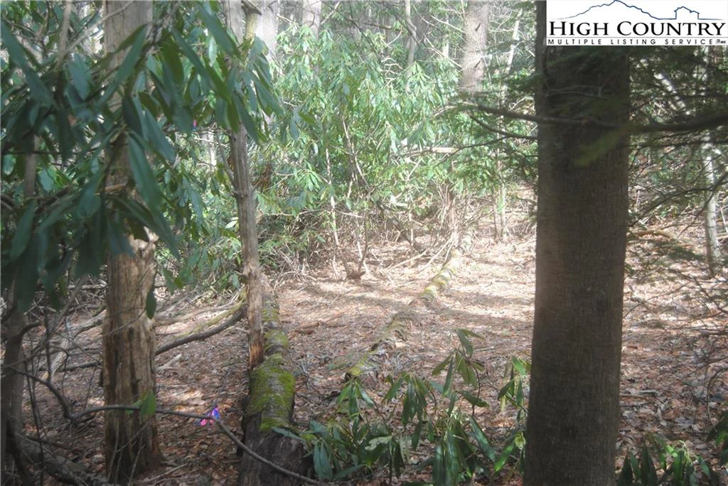 Image number 1 for the current listing