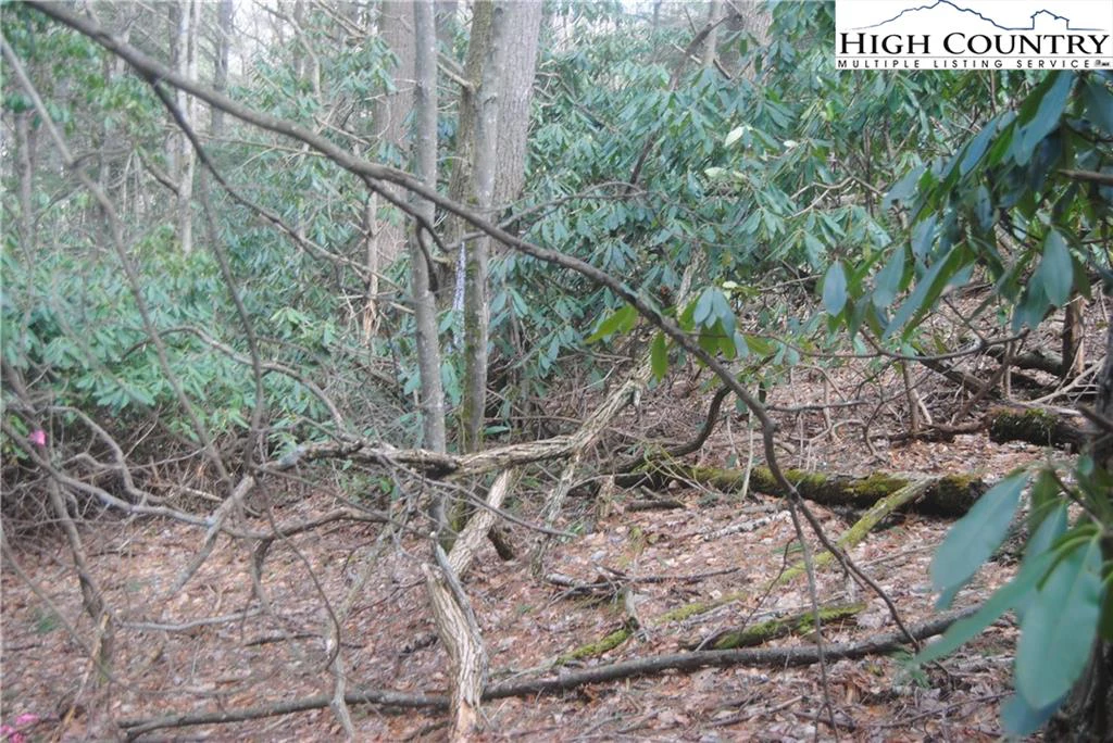 Image number 11 for the current listing