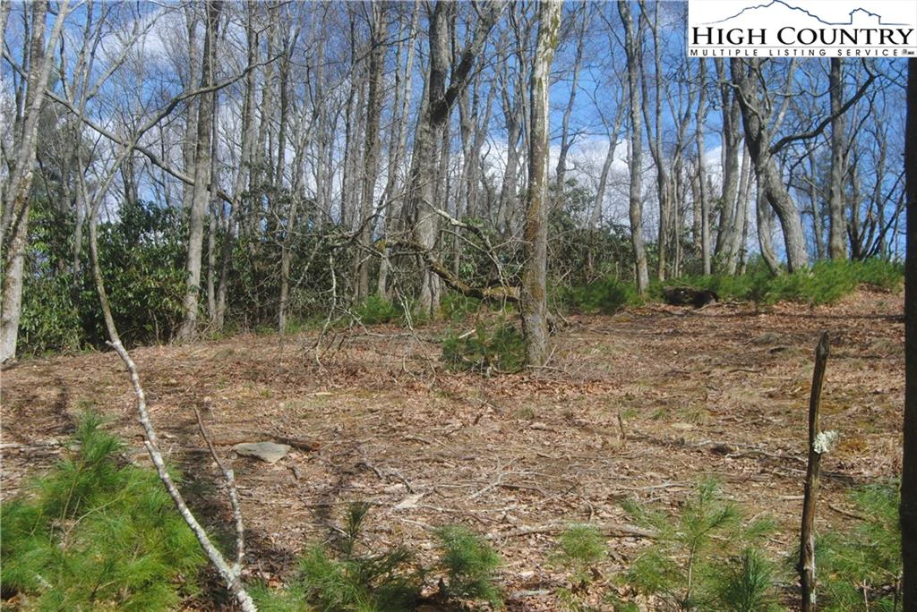 Image number 12 for the current listing