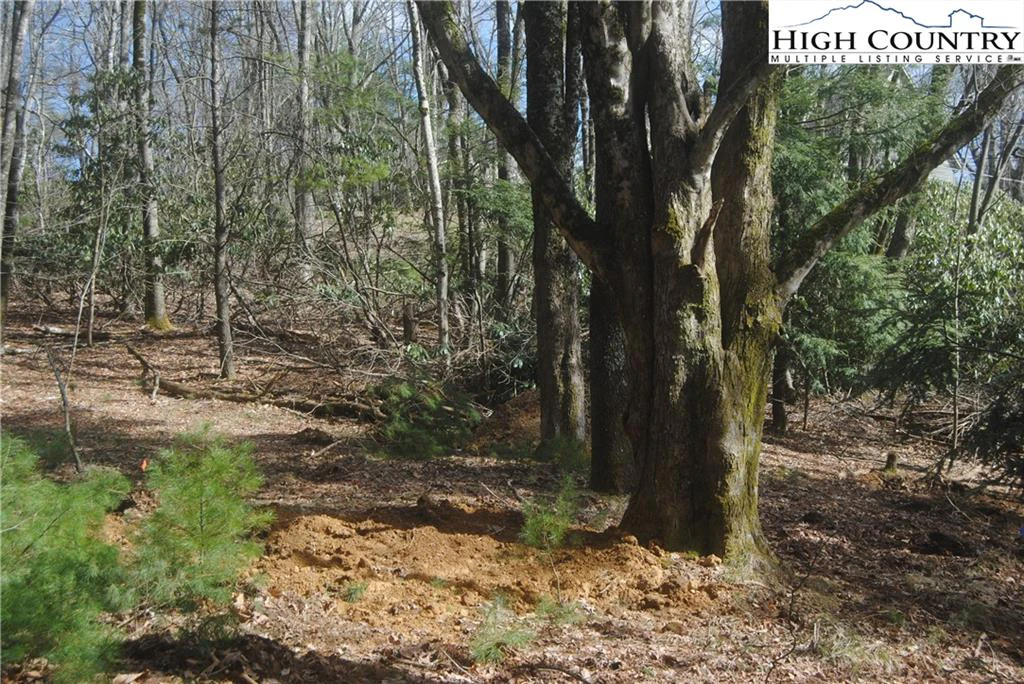 Image number 3 for the current listing