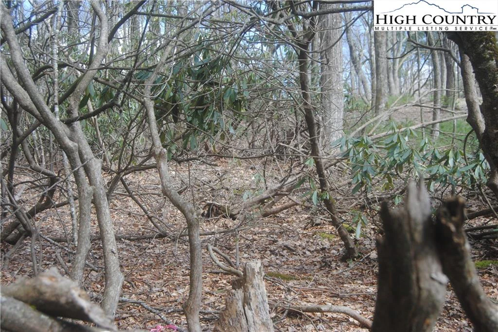 Image number 4 for the current listing