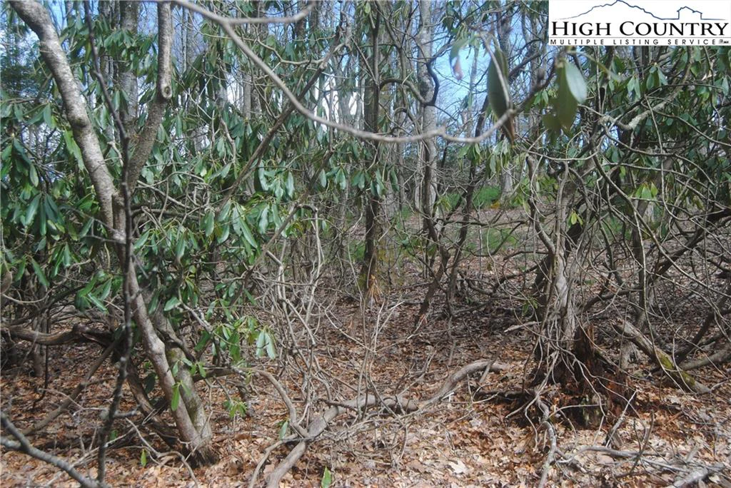 Image number 5 for the current listing