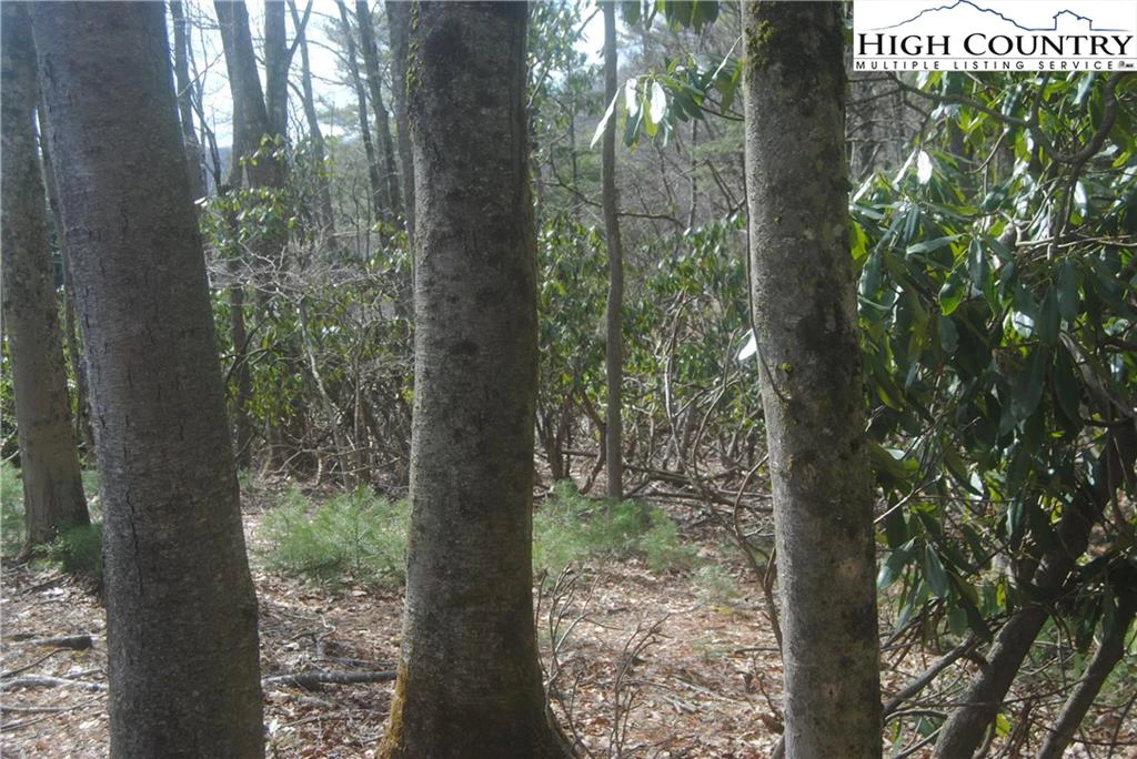 Image number 6 for the current listing