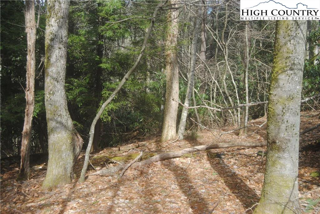 Image number 7 for the current listing