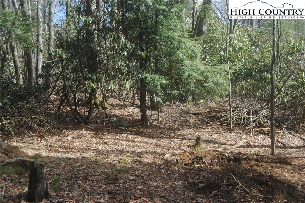 Image number 8 for the current listing