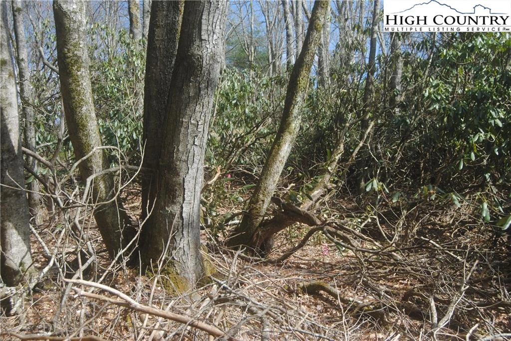 Image number 9 for the current listing