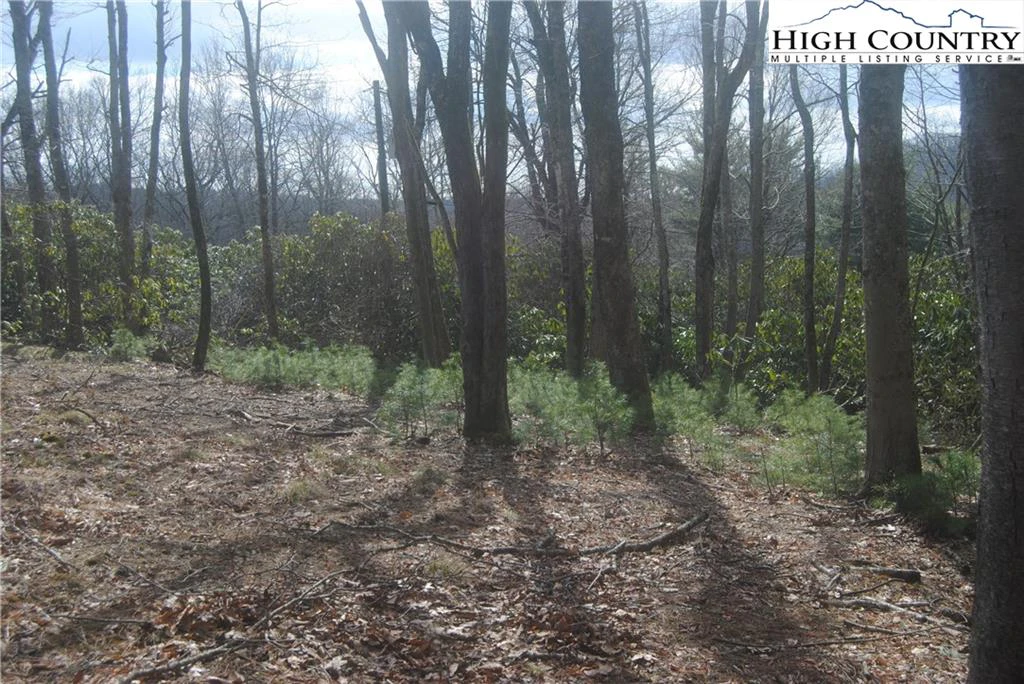 Image number 10 for the current listing