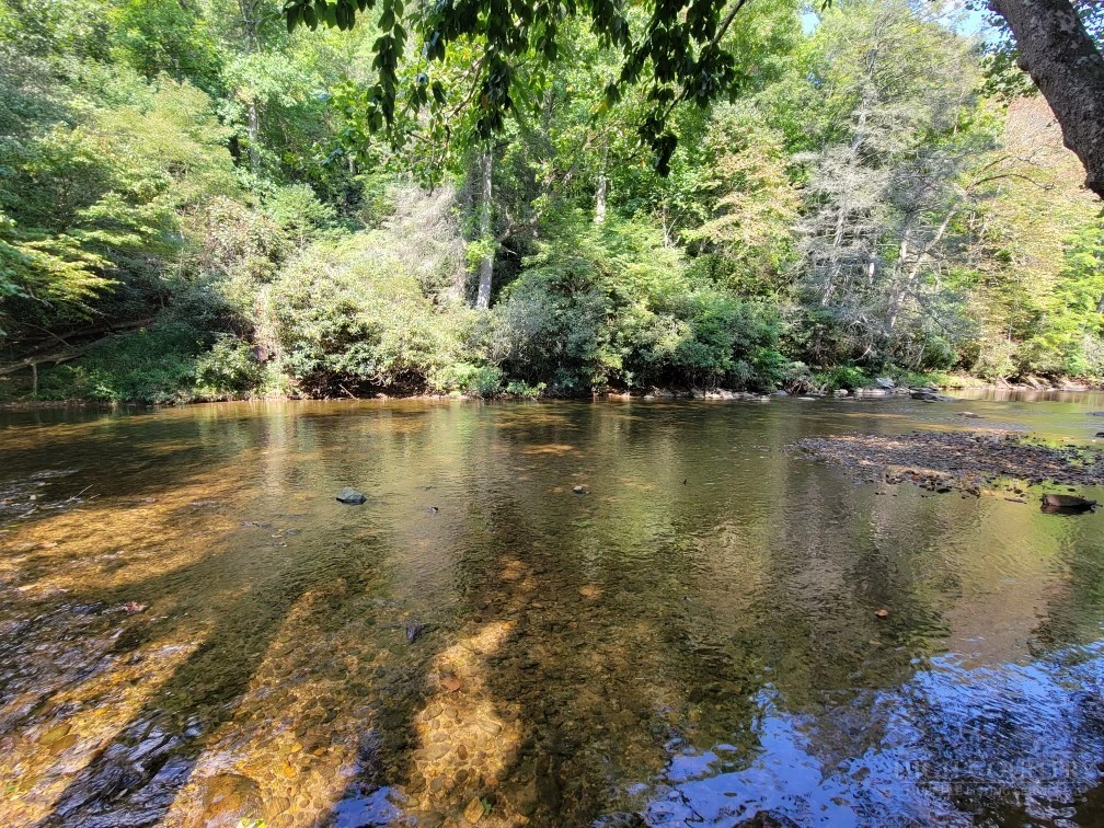 Image number 4 for the current listing
