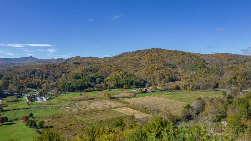 Image number 6 for the current listing
