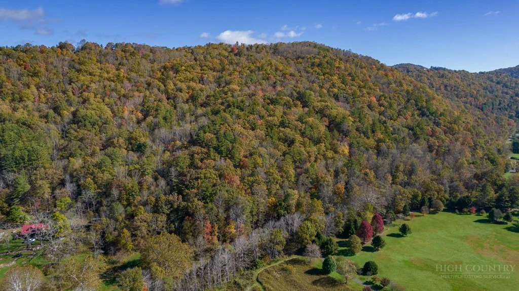 Image number 13 for the current listing