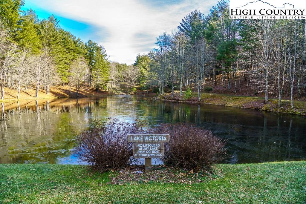 Image number 12 for the current listing