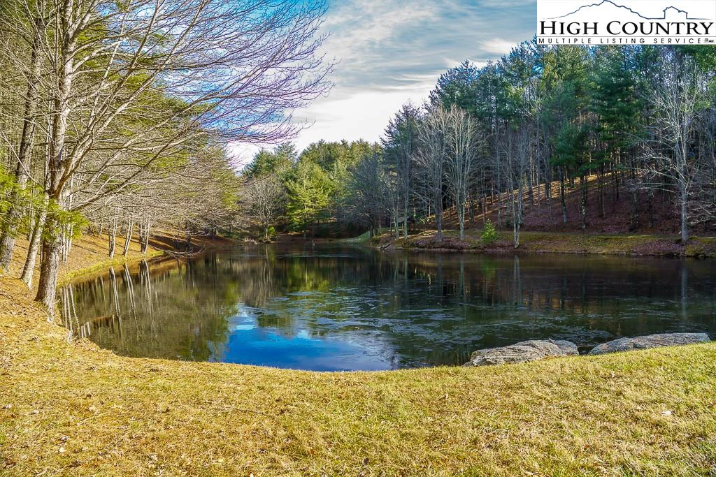 Image number 11 for the current listing