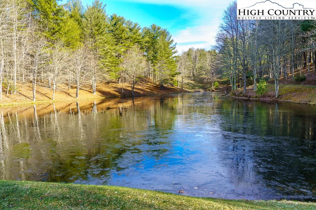 Image number 10 for the current listing