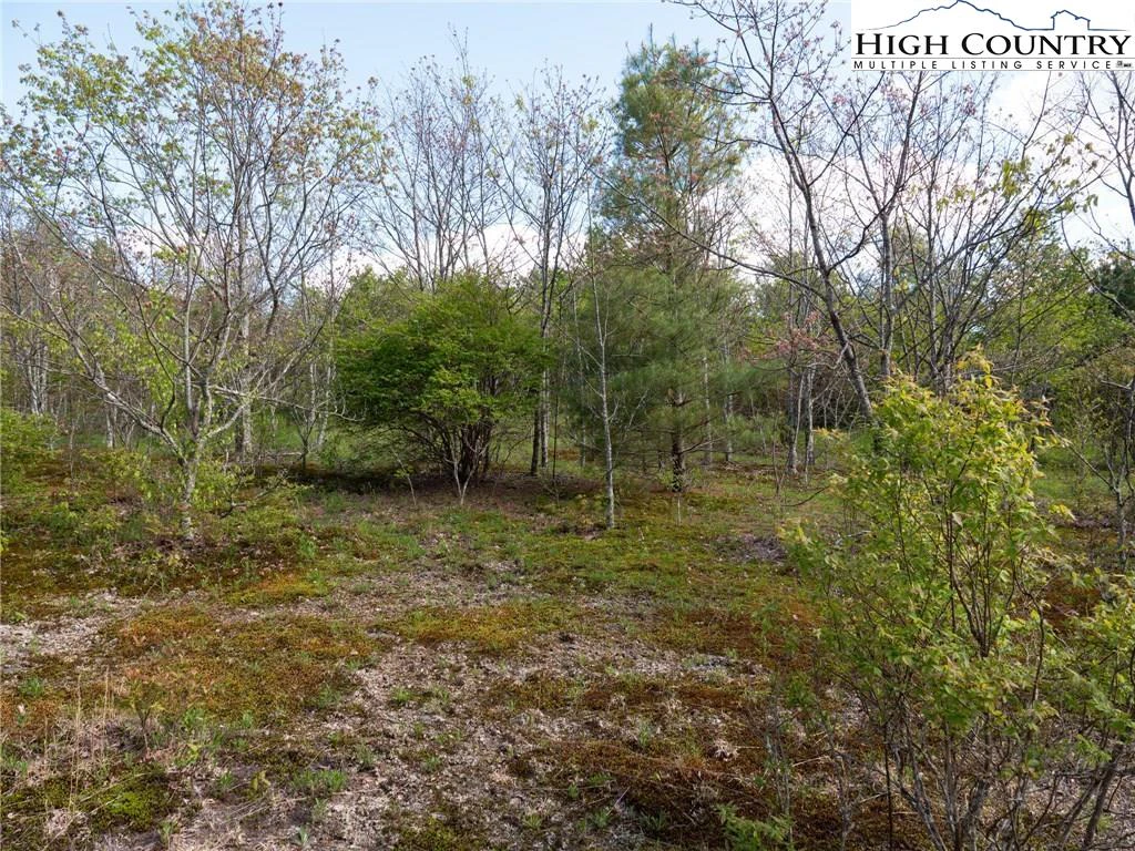 Image number 16 for the current listing