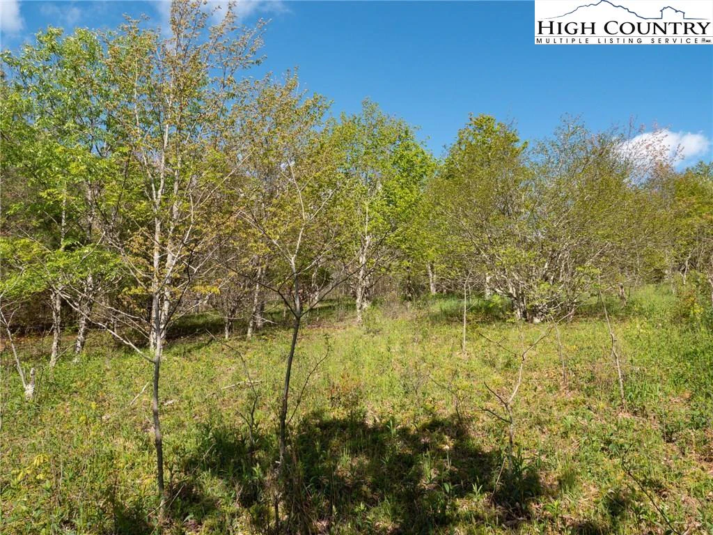 Image number 15 for the current listing