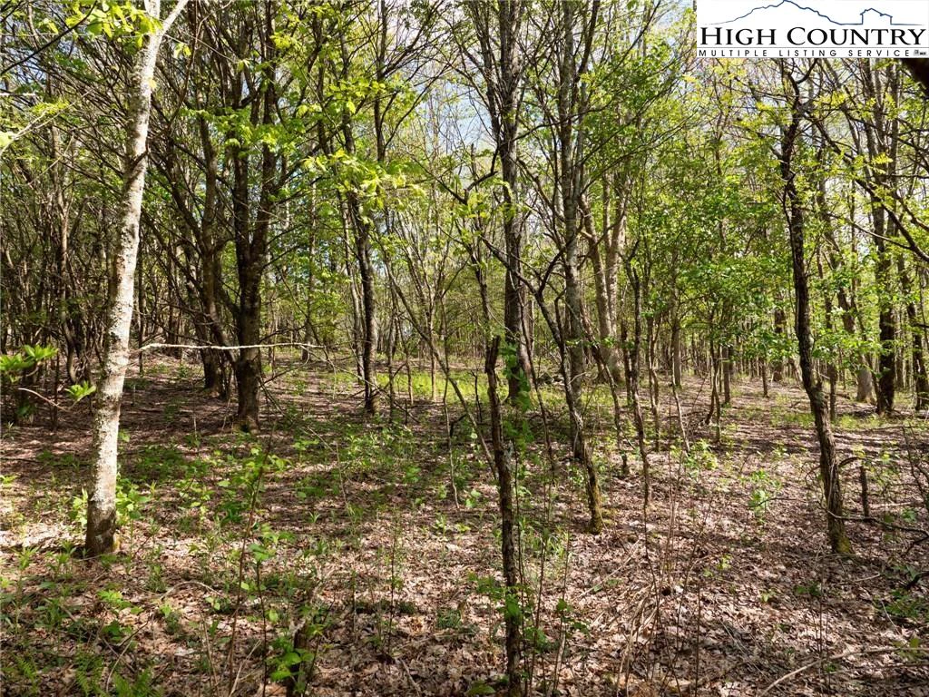 Image number 14 for the current listing