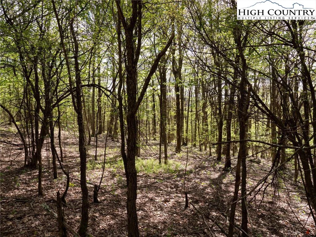 Image number 13 for the current listing