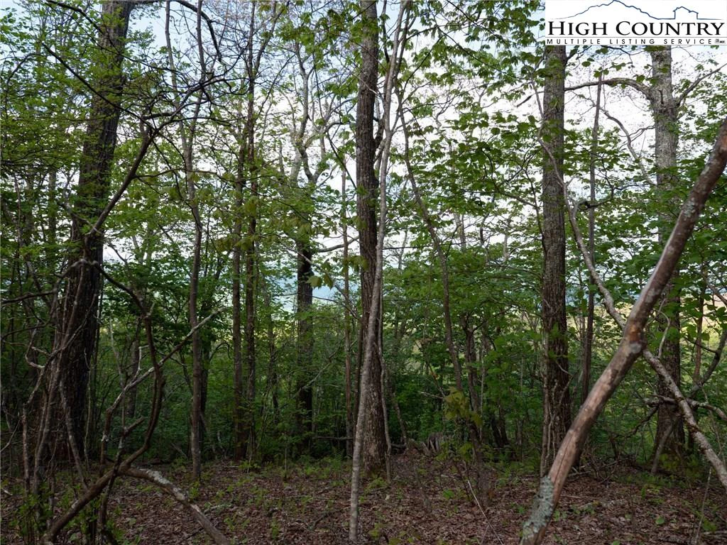 Image number 11 for the current listing