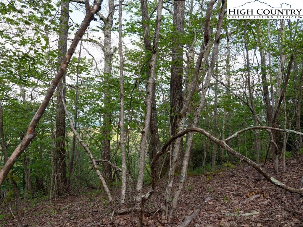Image number 10 for the current listing