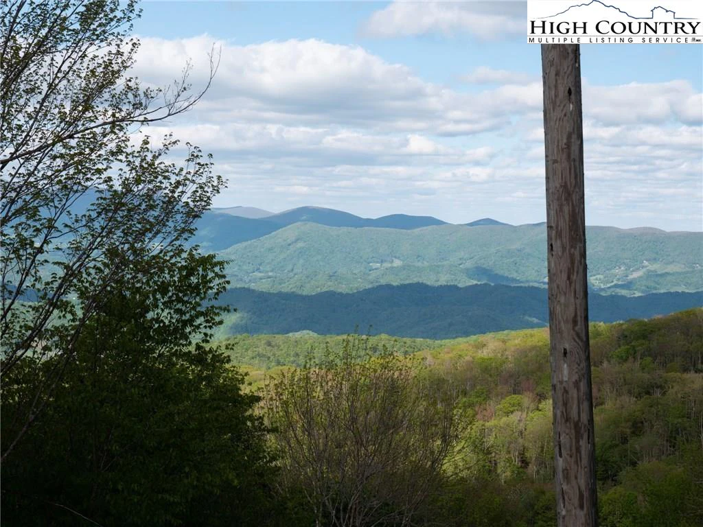 Image number 8 for the current listing
