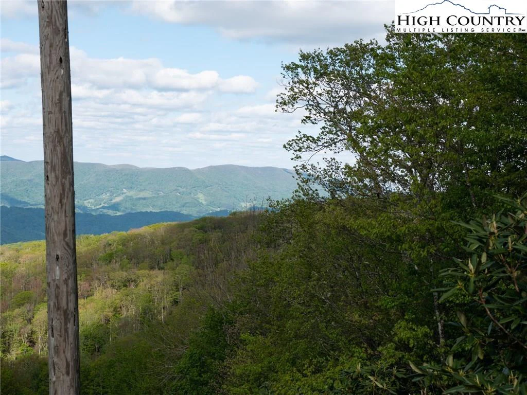 Image number 7 for the current listing