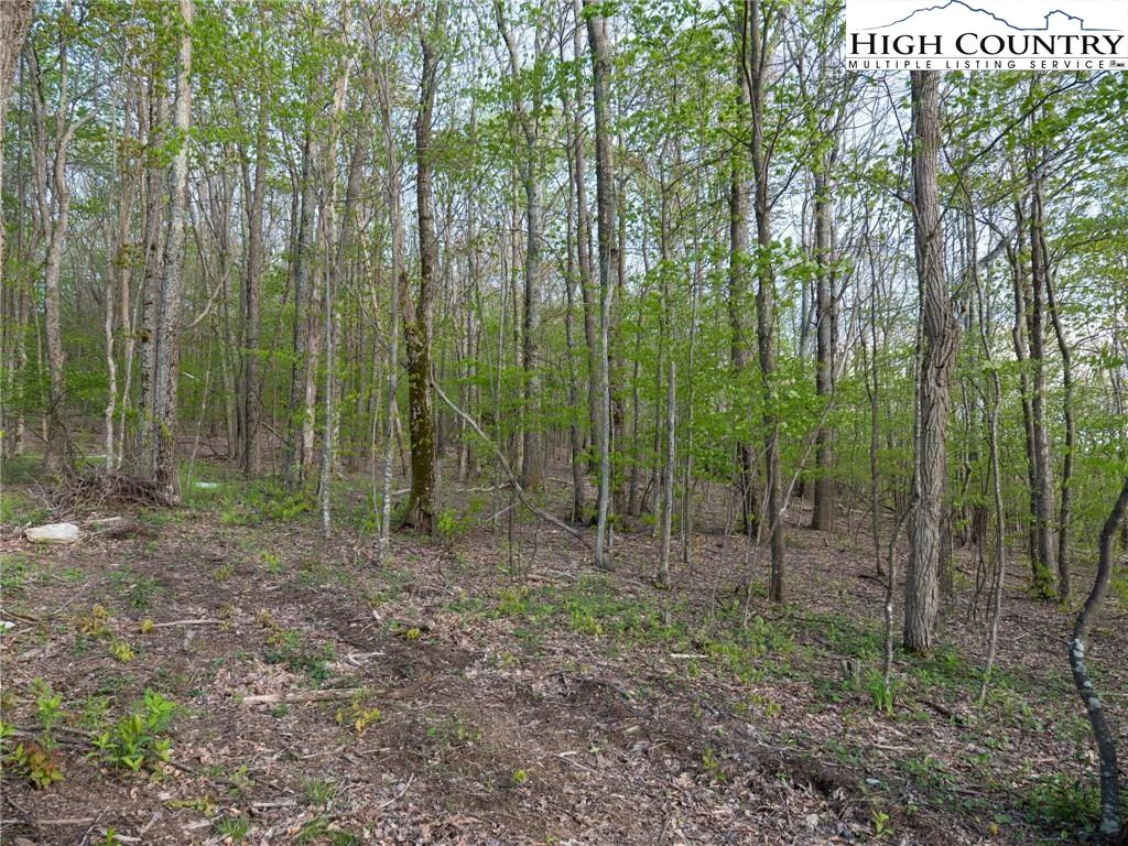 Image number 6 for the current listing