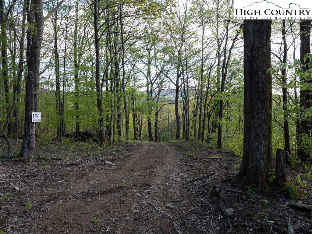 Image number 5 for the current listing