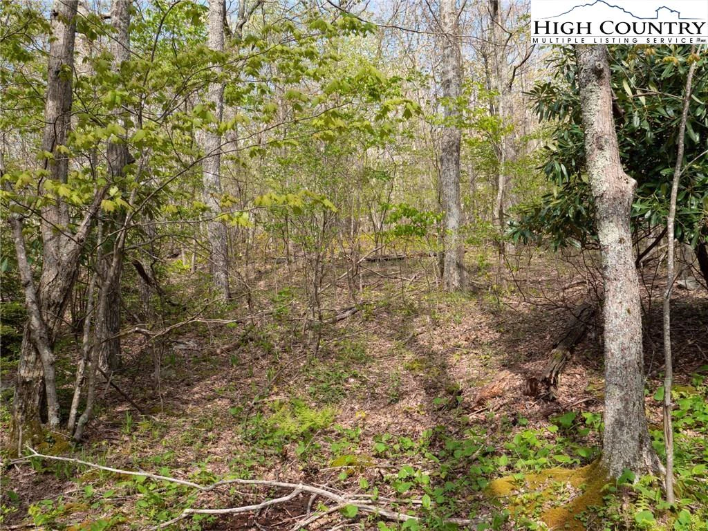 Image number 3 for the current listing
