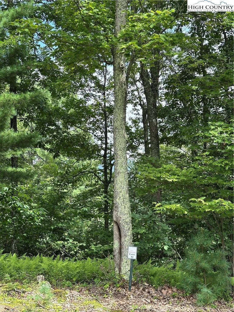 Image number 7 for the current listing