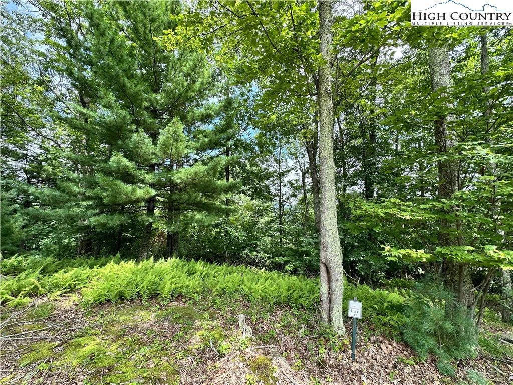 Image number 8 for the current listing