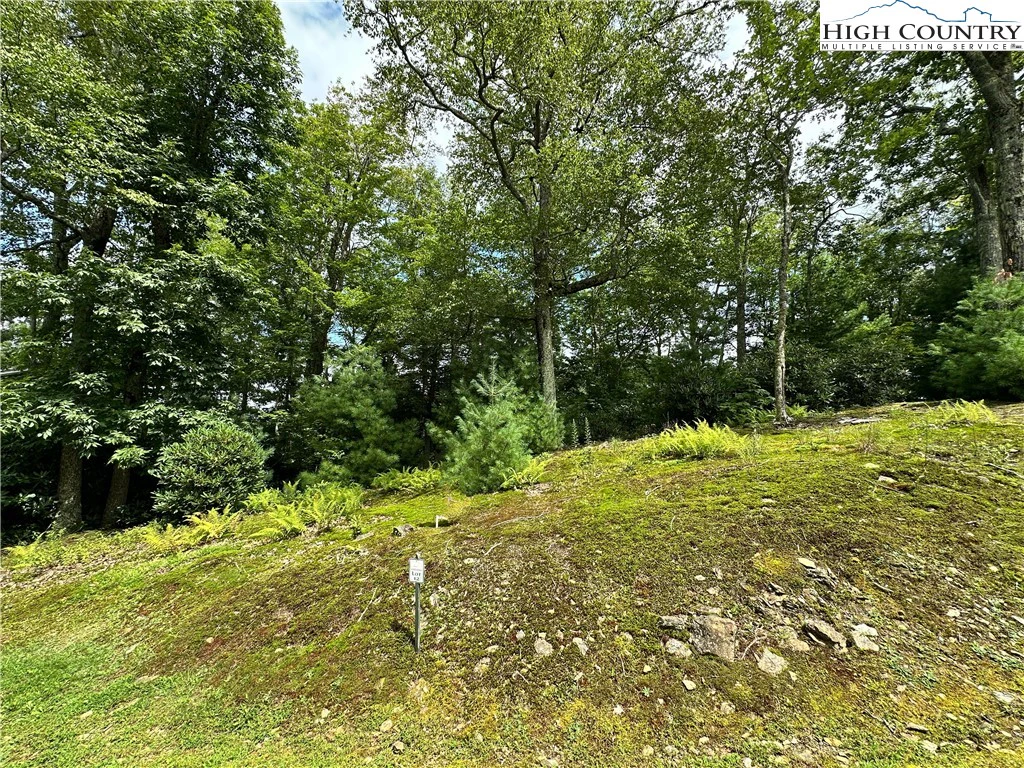 Image number 9 for the current listing