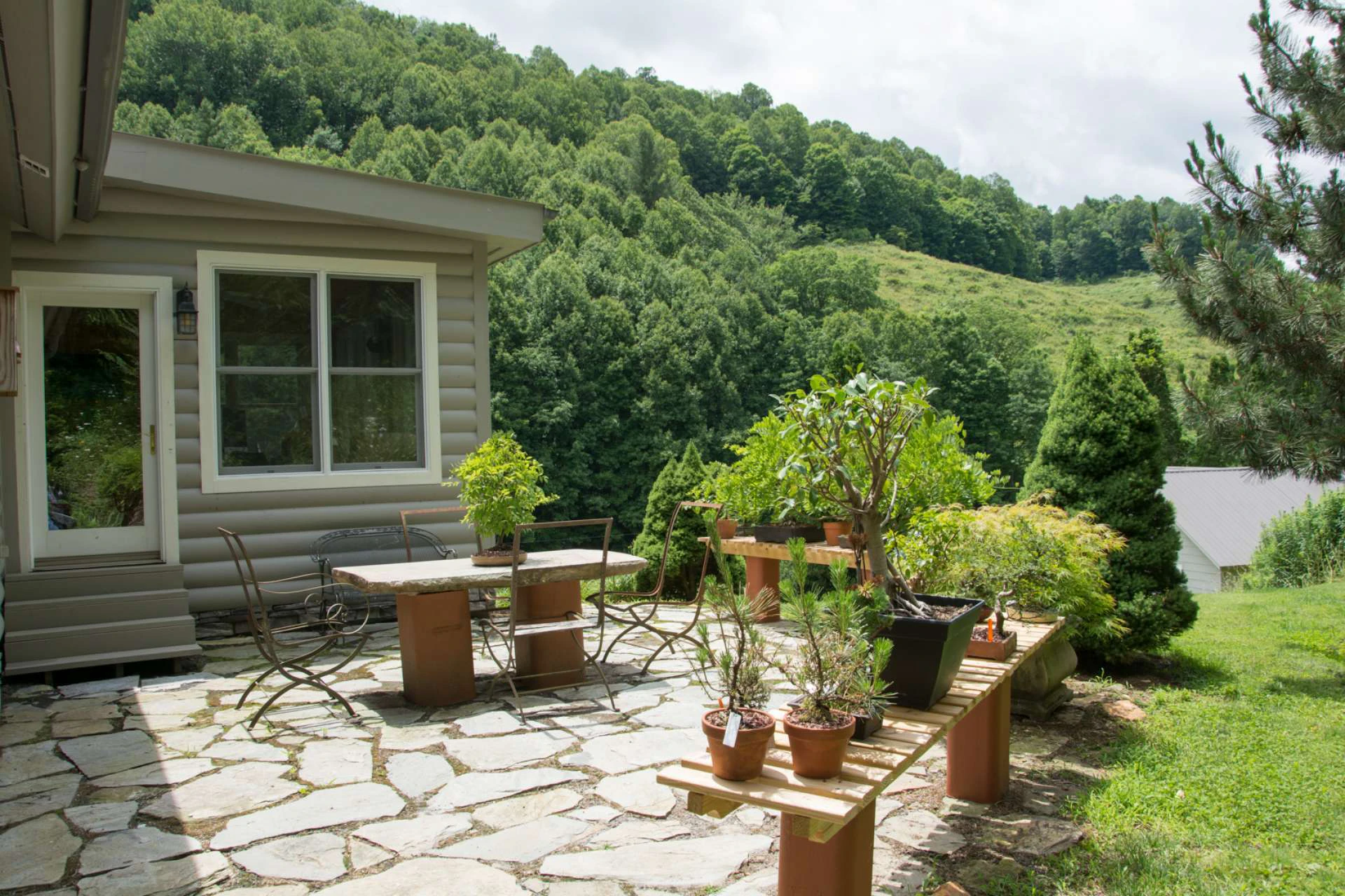 Image number 4 for the current listing