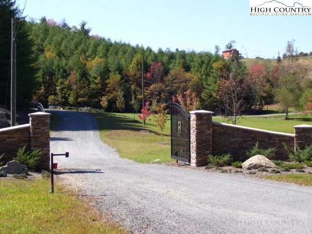 Image number 1 for the current listing