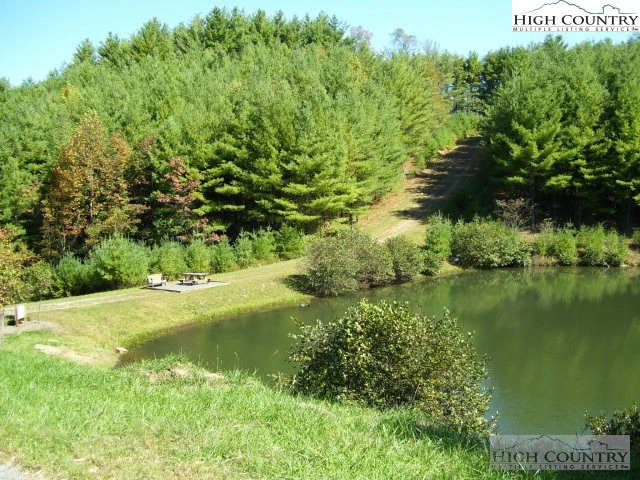Image number 3 for the current listing
