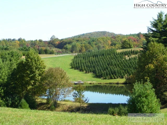 Image number 4 for the current listing