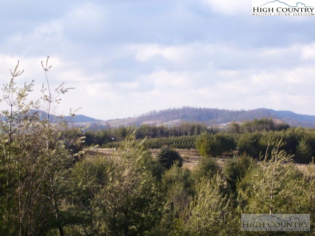 Image number 7 for the current listing