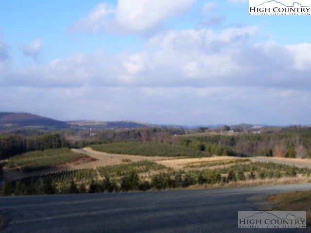 Image number 8 for the current listing
