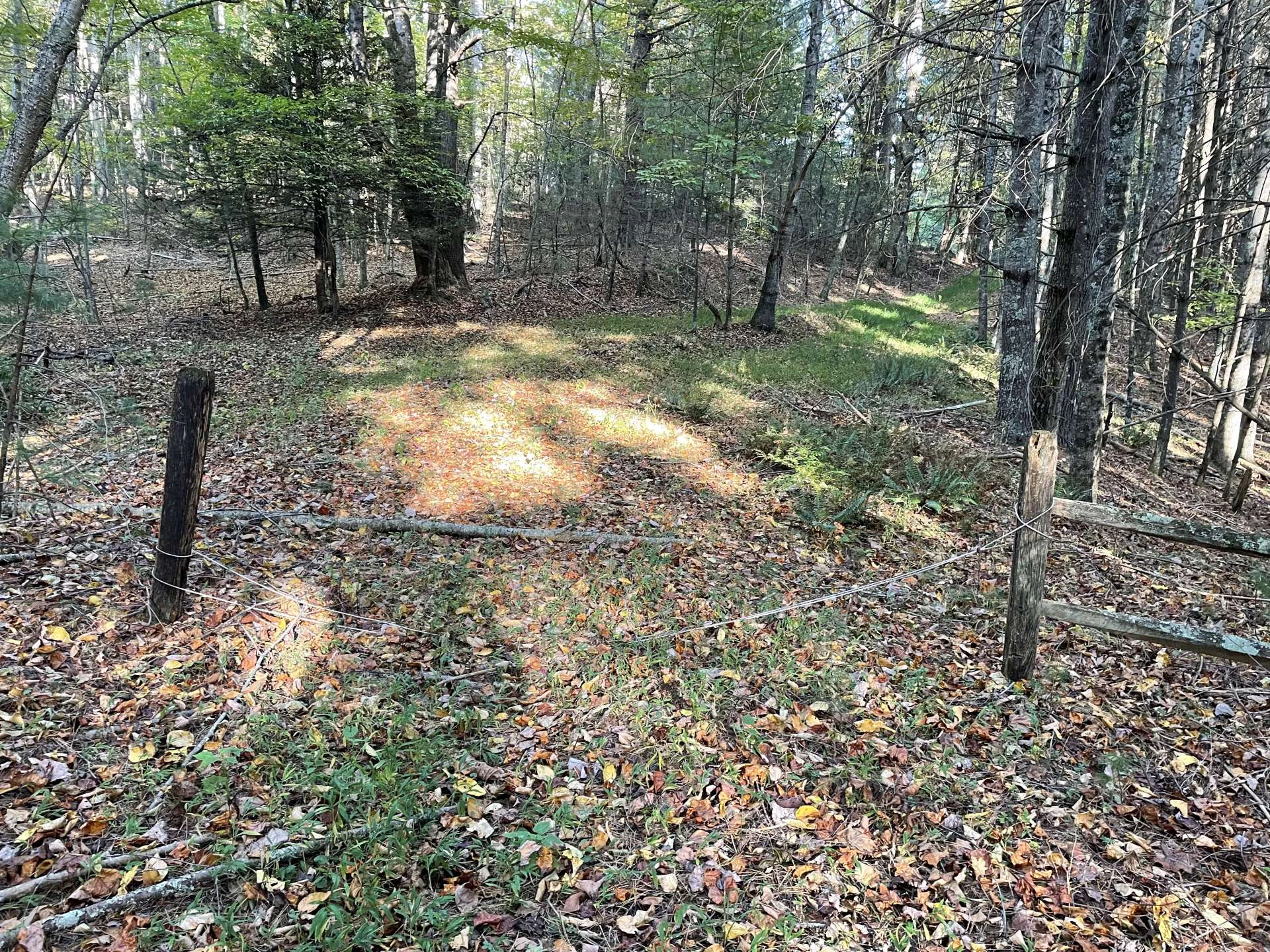 Image number 4 for the current listing