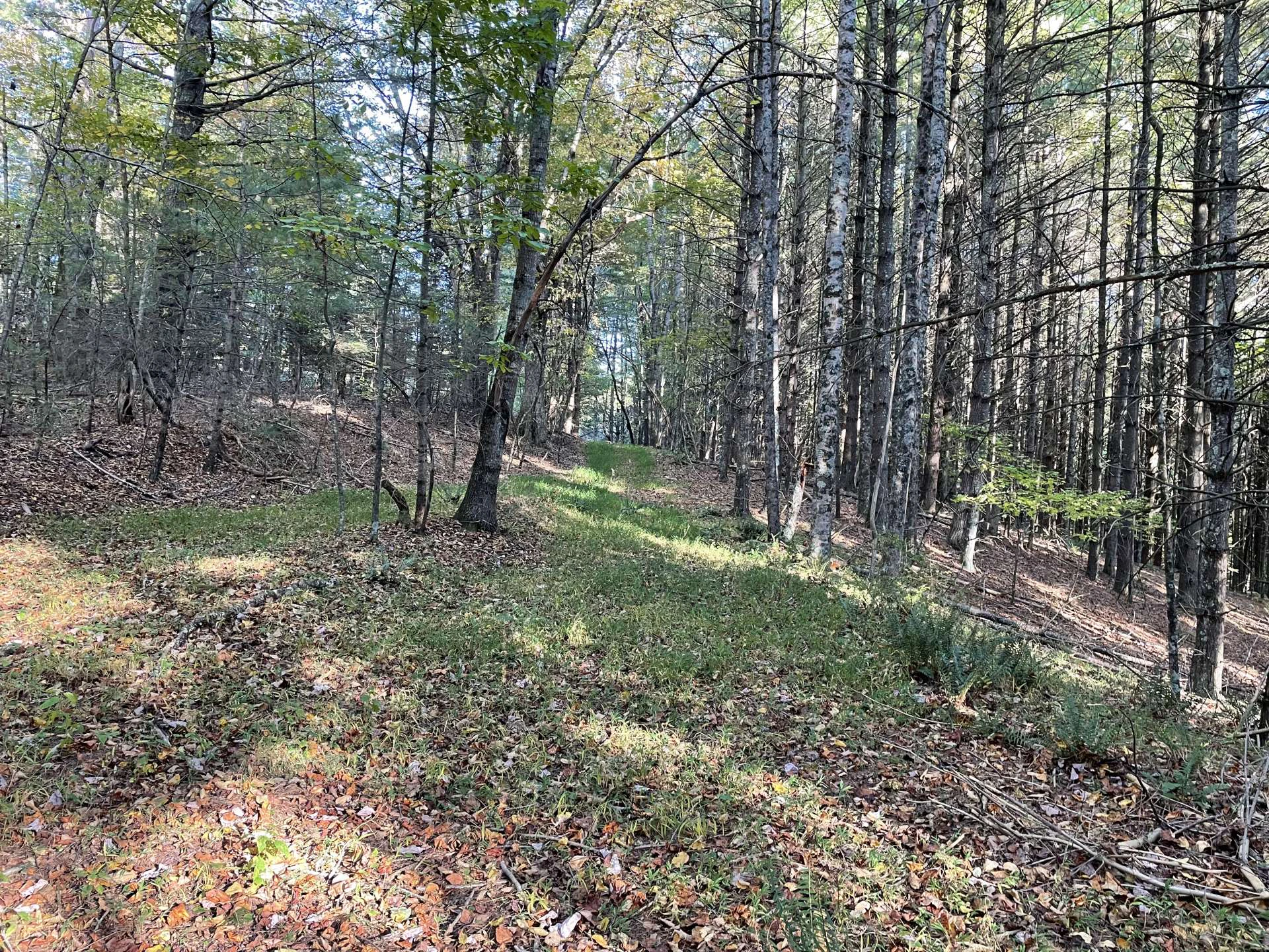 Image number 11 for the current listing