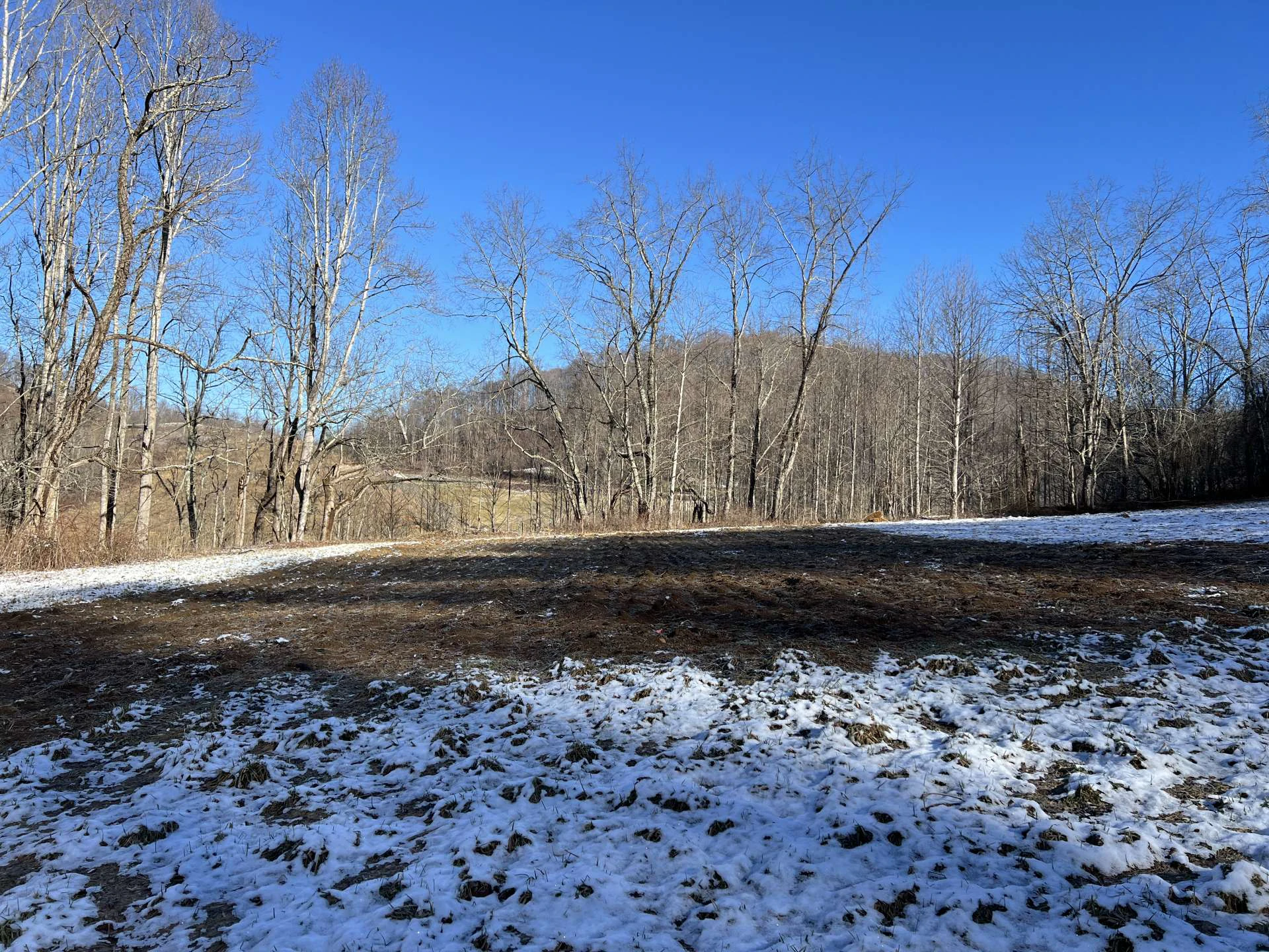Image number 3 for the current listing