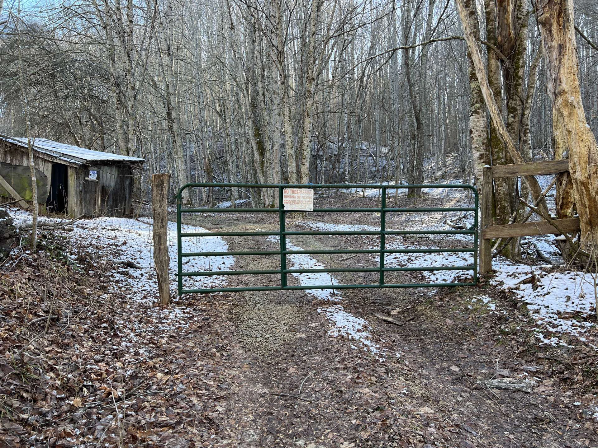 Image number 5 for the current listing
