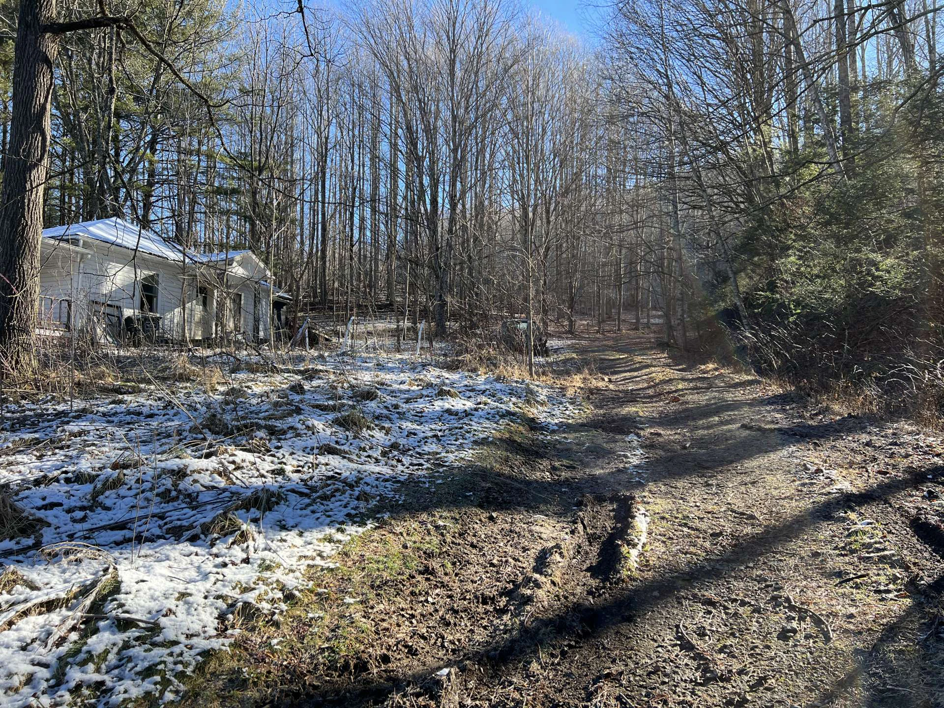 Image number 6 for the current listing