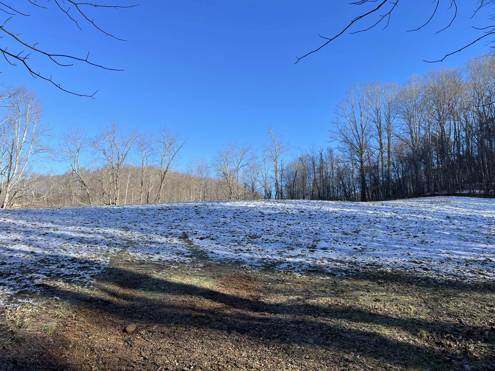 Image number 11 for the current listing