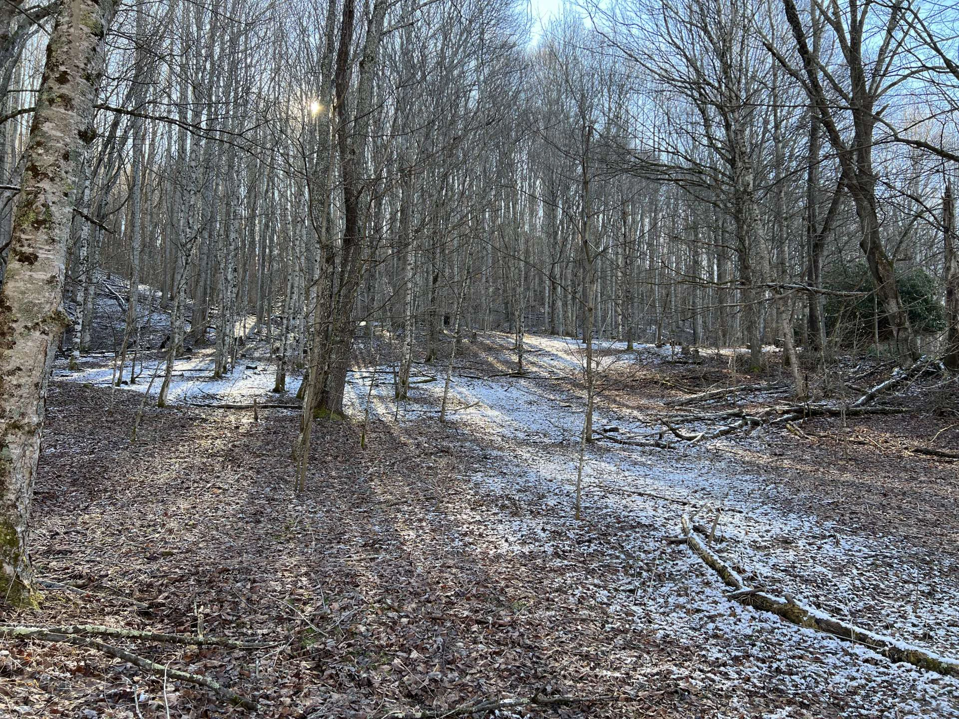 Image number 14 for the current listing