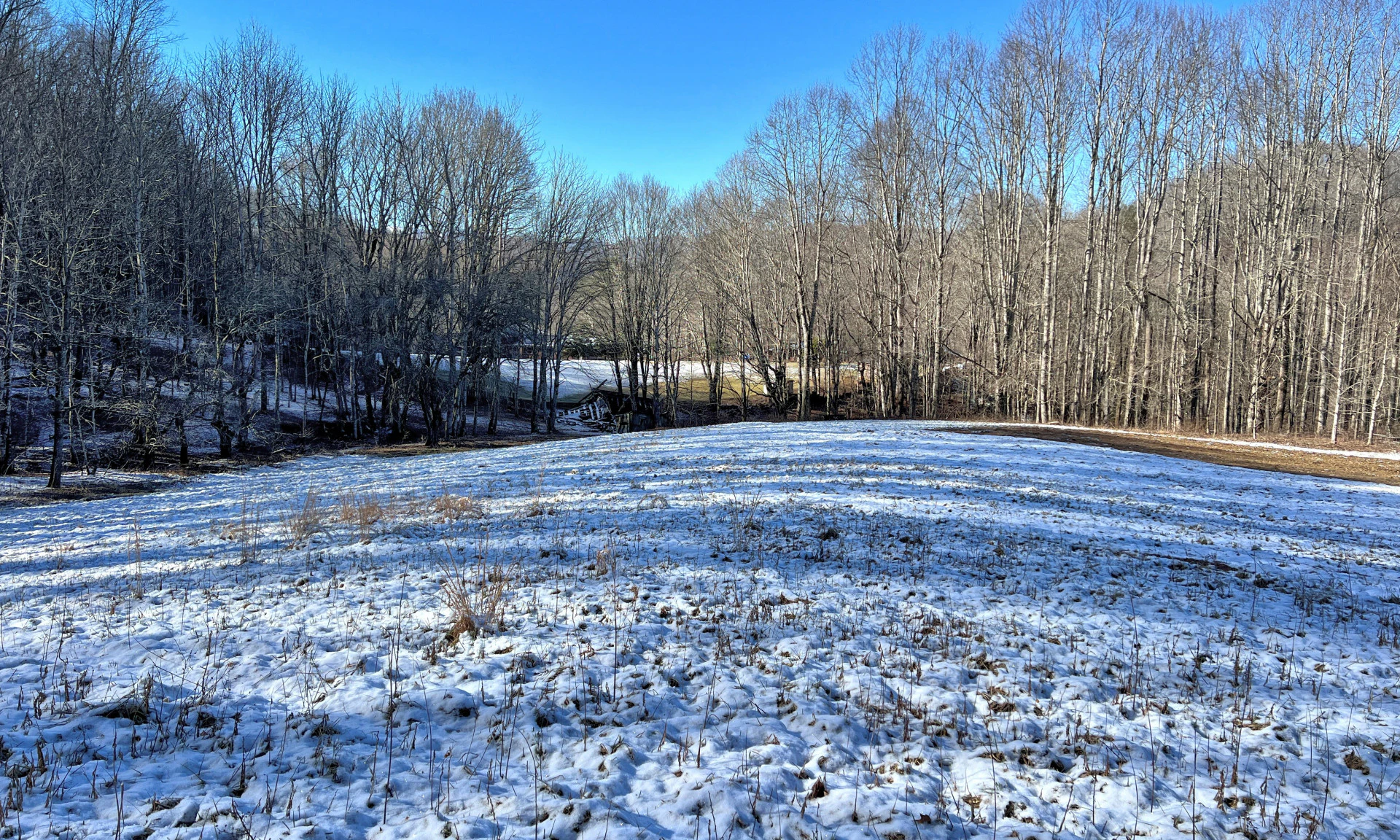 Image number 1 for the current listing