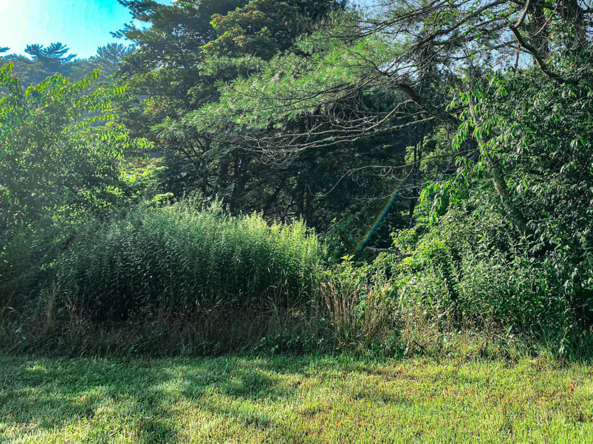 Image number 3 for the current listing