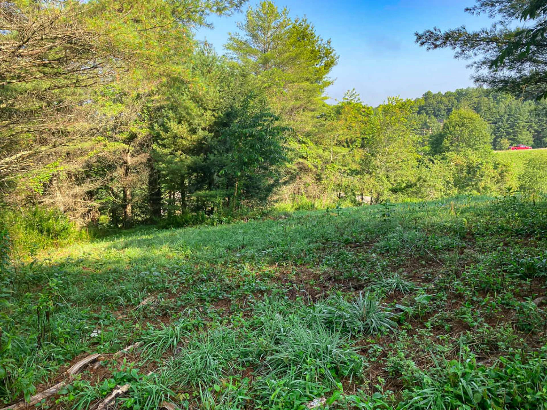 Image number 4 for the current listing