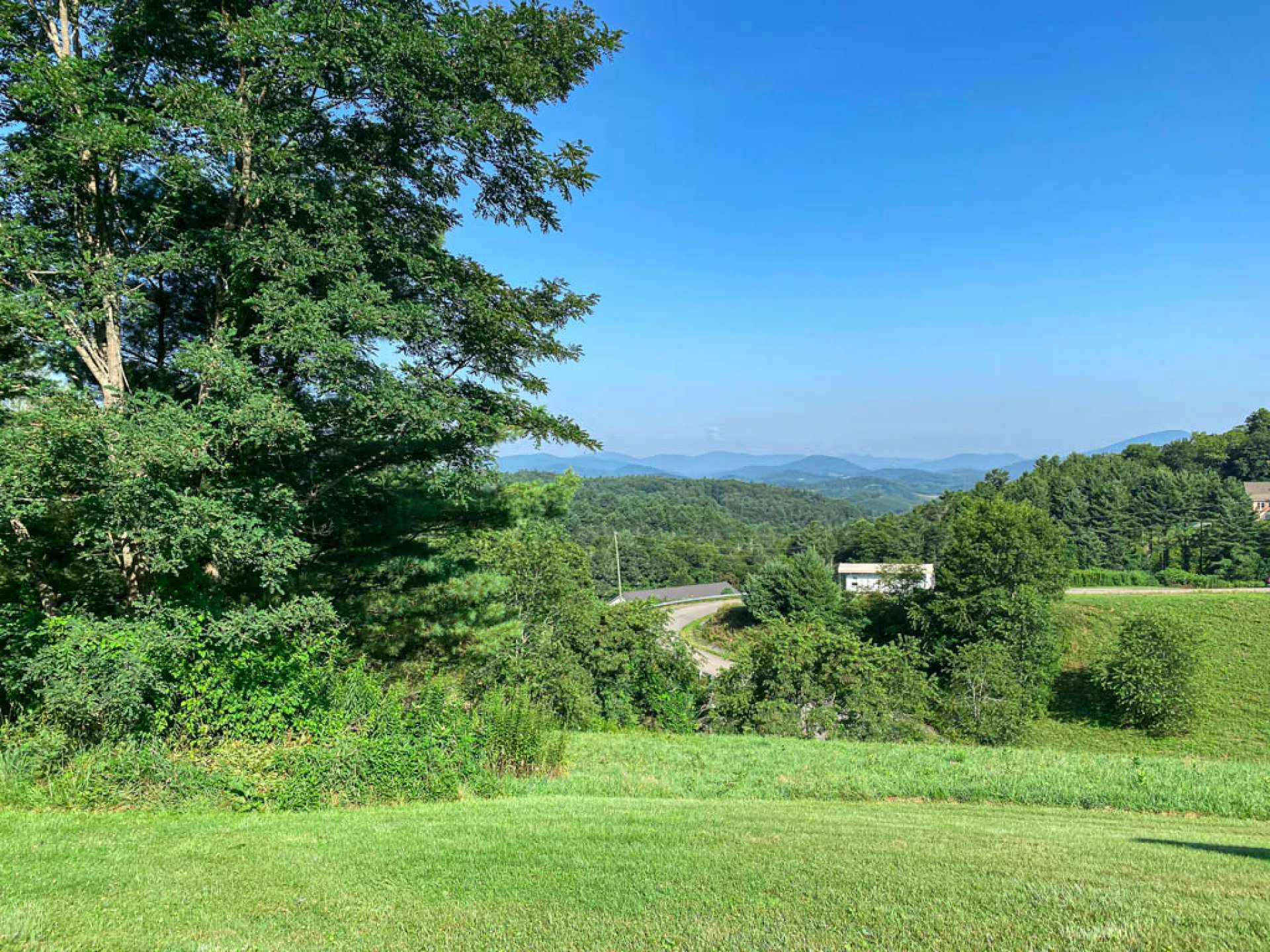 Image number 5 for the current listing